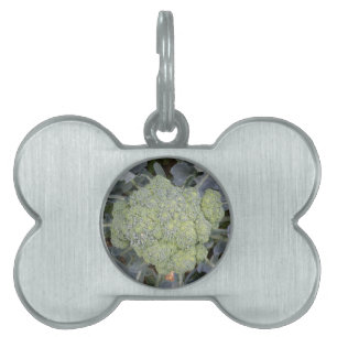 Médaillons Pour Animaux Domestiques Balise pour animal de compagnie Broccoli