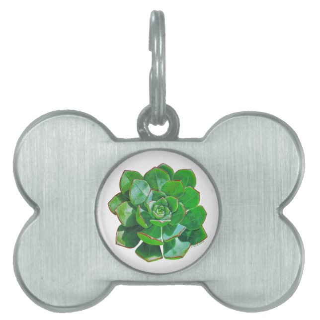 Médaillons Pour Animaux Domestiques Balise Rosette Succulent Pet (Devant)