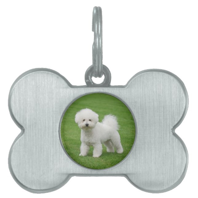 Médaillons Pour Animaux Domestiques Bichon Frise (Devant)