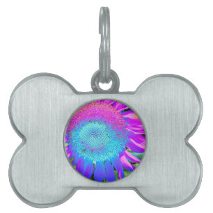Médaillons Pour Animaux Domestiques Bleu rose rétro tournesol funky photo