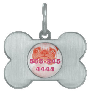 Médaillons Pour Animaux Domestiques CARLIN_orange3.png