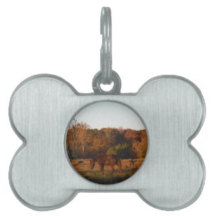 Médaillons Pour Animaux Domestiques Cheval Brown rouge, bois d'automne.