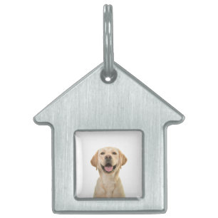 Médaillons Pour Animaux Domestiques Chien personnalisé