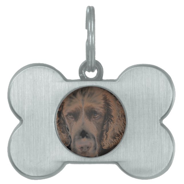 Médaillons Pour Animaux Domestiques Chiens Springer anglais (Devant)