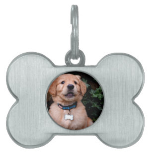 Médaillons Pour Animaux Domestiques Chiot Golden Retriever