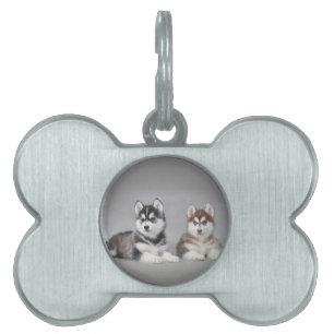 Médaillons Pour Animaux Domestiques Chiots husky sibériens