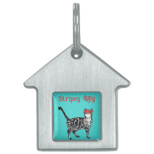 Médaillons Pour Animaux Domestiques Cool Tabby Chat Vous Êtes Un Cool Chat Chat Chats