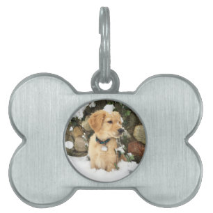 Médaillons Pour Animaux Domestiques Cute Puppy jaune laboratoire golden extracteur