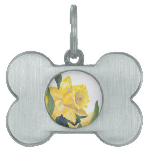 Médaillons Pour Animaux Domestiques Daffodiques de printemps