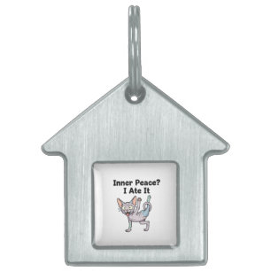 Médaillons Pour Animaux Domestiques Dessin animé de chat Sphynx lavande drôle