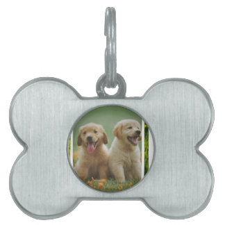 Médaillons Pour Animaux Domestiques dog