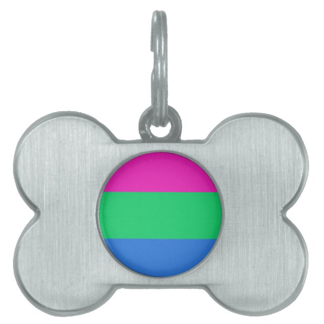 Médaillons Pour Animaux Domestiques Drapeau de fierté polysexuelle (Devant)