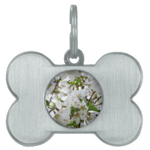 Médaillons Pour Animaux Domestiques Elégante photo de fleurs florales blanches