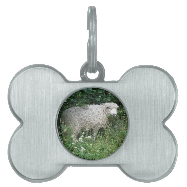 Médaillons Pour Animaux Domestiques Étiquette Mignonne blanc bouffée Manger animal de  (Devant)