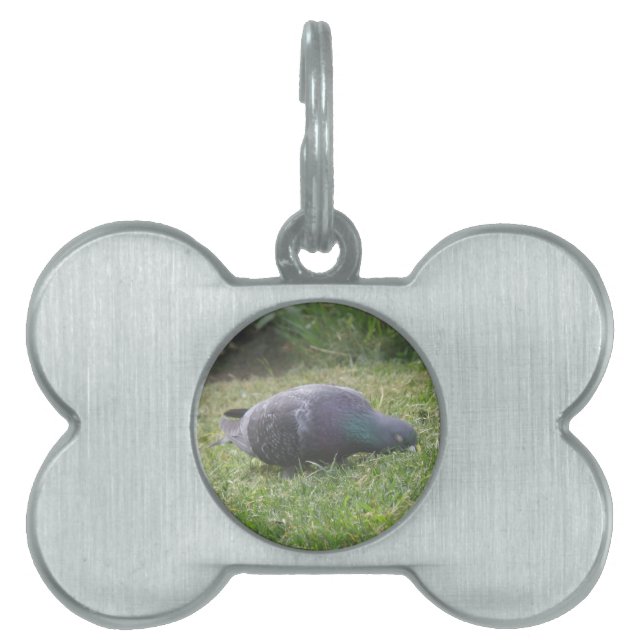 Médaillons Pour Animaux Domestiques Étiquette pour animal de compagnie de pigeon couch (Devant)