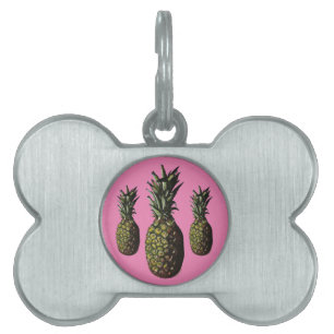 Médaillons Pour Animaux Domestiques Étiquettes ananas