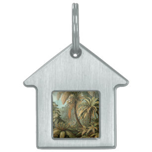 Médaillons Pour Animaux Domestiques Ferns Palm Tree Antiquité Botanique Ferns Art