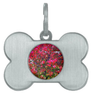 Médaillons Pour Animaux Domestiques Feuilles d'automne rose impressionniste