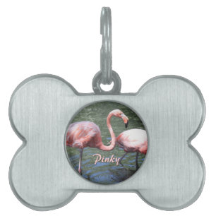 Médaillons Pour Animaux Domestiques Flamants roses roses