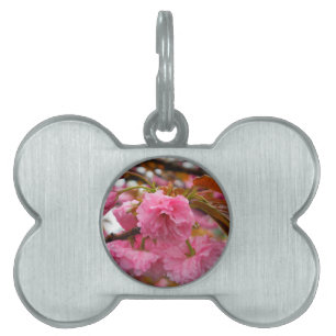Médaillons Pour Animaux Domestiques Fleurs de fleurs de cerisier rose chaud