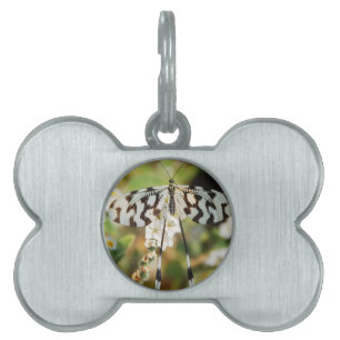 Médaillons Pour Animaux Domestiques Fleurs papillons fleurit Paix Wedding shower