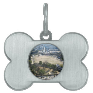 Médaillons Pour Animaux Domestiques Himeji, Japon (Vue du château haut)