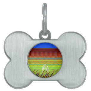 Médaillons Pour Animaux Domestiques Impression Motif géométrique coloré
