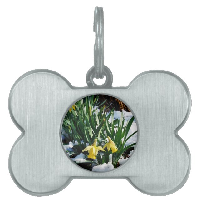Médaillons Pour Animaux Domestiques Jaune Daffodils fleurs dans la neige (Devant)