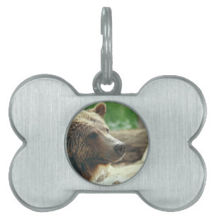 Médaillons Pour Animaux Domestiques Jolie nature adorable Ours Visage animal