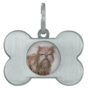 Médaillons Pour Animaux Domestiques LE CHIEN / Affenpinscher