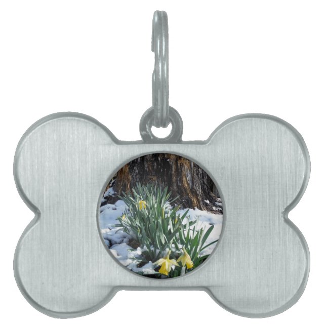 Médaillons Pour Animaux Domestiques Les jonquilles jaunes dans la neige (Devant)