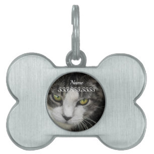 Médaillons Pour Animaux Domestiques L'étiquette pour animaux familiers Baby Look
