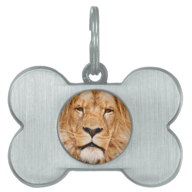 Médaillons Pour Animaux Domestiques Lion (Devant)