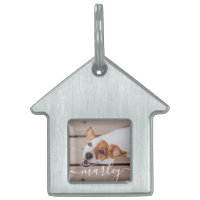 Moderne Simple Jouer Élégant Chic Pet Photo
