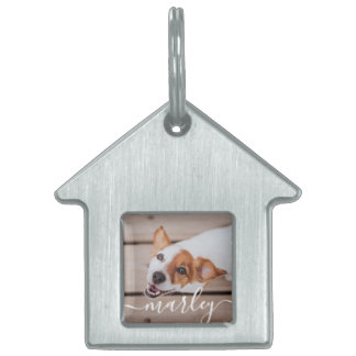 Médaillons Pour Animaux Domestiques Moderne Simple Jouer Élégant Chic Pet Photo