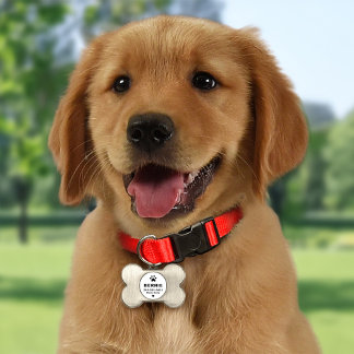 Médaillons Pour Animaux Domestiques Nom de chien personnalisé moderne blanc
