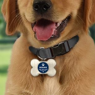 Médaillons Pour Animaux Domestiques Nom de chien personnalisé moderne Marine Bleu