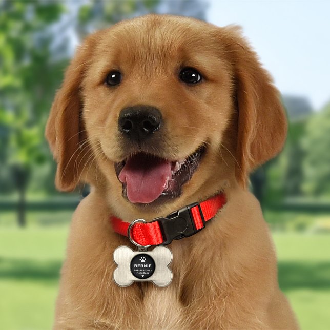 Médaillons Pour Animaux Domestiques Nom de chien personnalisé moderne noir et blanc (Créateur téléchargé)