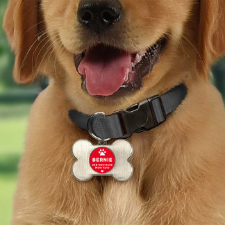Médaillons Pour Animaux Domestiques Nom de chien personnalisé moderne rouge