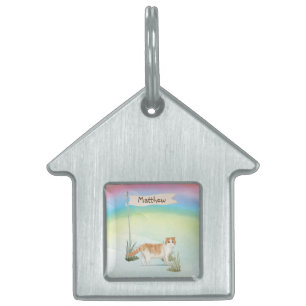 Médaillons Pour Animaux Domestiques Nom personnalisé Scottish Pold Cat Pet