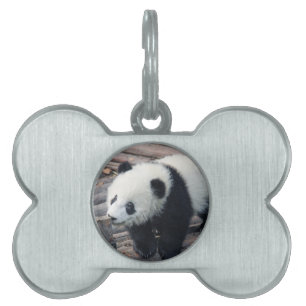 Médaillons Pour Animaux Domestiques ours panda ours personnalisé Anniversaires
