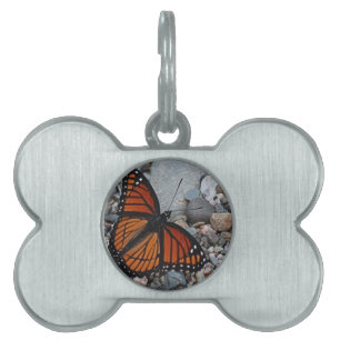 Médaillons Pour Animaux Domestiques Papillon et pierres