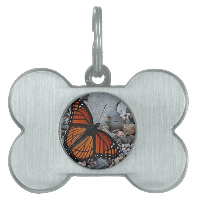 Médaillons Pour Animaux Domestiques Papillon et pierres (Devant)