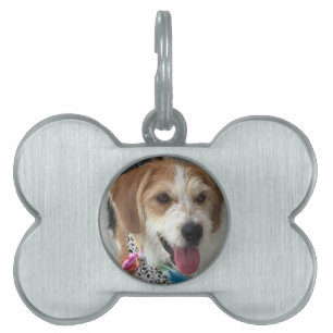 Médaillons Pour Animaux Domestiques Personnaliser avec la photo de votre chien