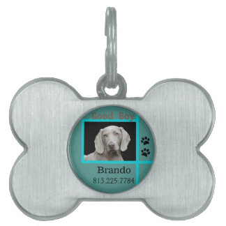 Médaillons Pour Animaux Domestiques Photo personnalisée de chien