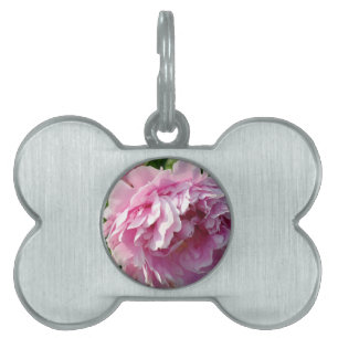 Médaillons Pour Animaux Domestiques Pink Peony photo cottage ferme jardin fleuri