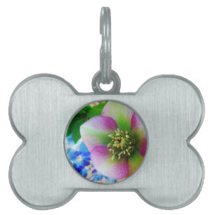 Médaillons Pour Animaux Domestiques Rose rose carême bleu boule de verre