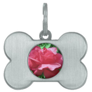 Médaillons Pour Animaux Domestiques Rose rouge