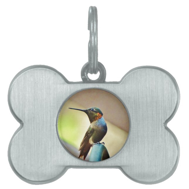 Médaillons Pour Animaux Domestiques Ruby perché et petit colibri vert (Devant)