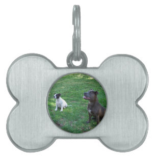 Médaillons Pour Animaux Domestiques Staffordshire Bull Terrier temps de traitement,